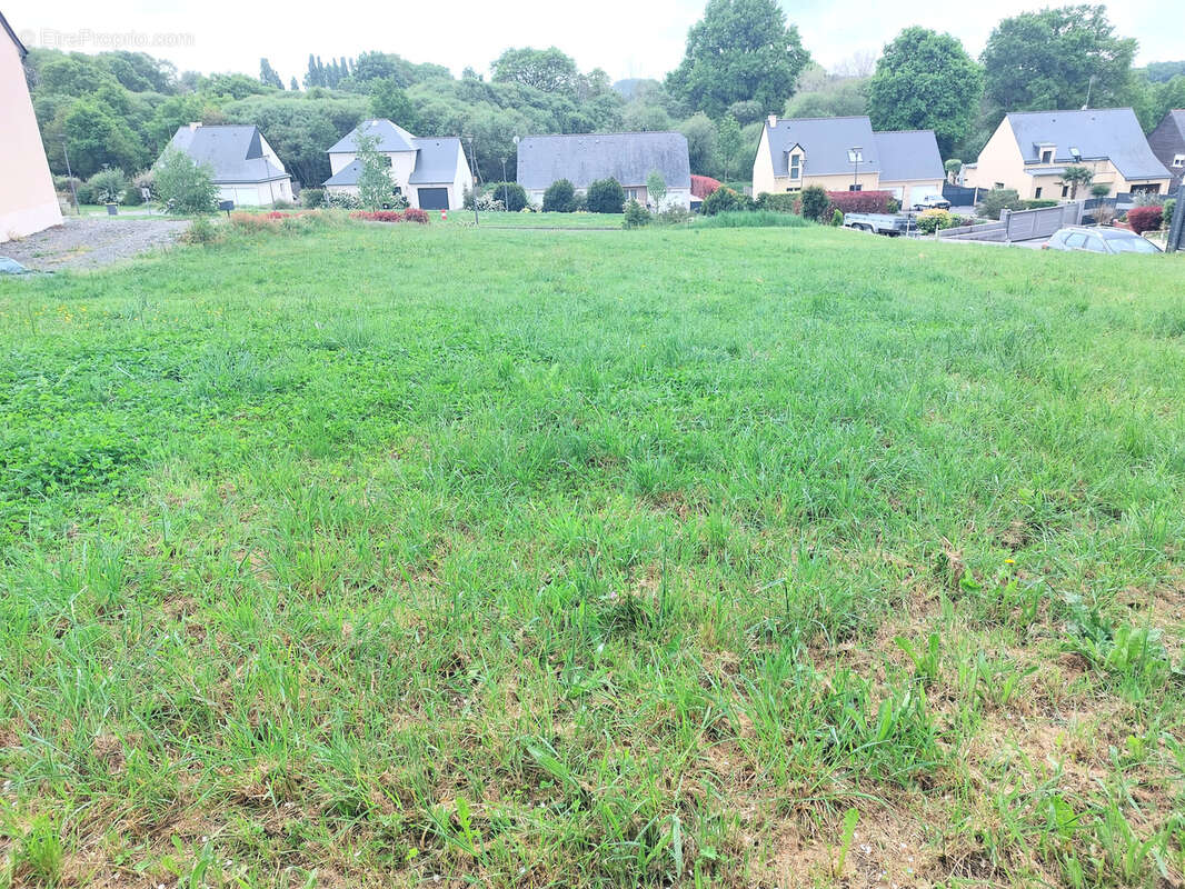 Terrain à CUILLE