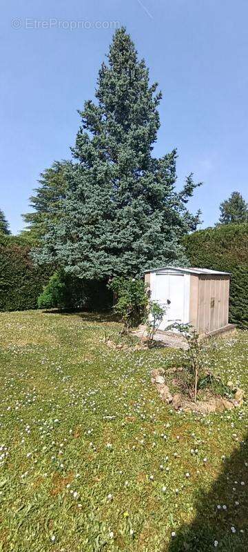 Maison à QUINCY-SOUS-SENART