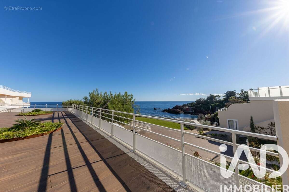 Photo 3 - Appartement à LA SEYNE-SUR-MER