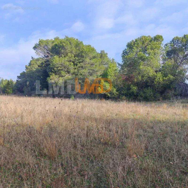 Terrain à AIGREMONT