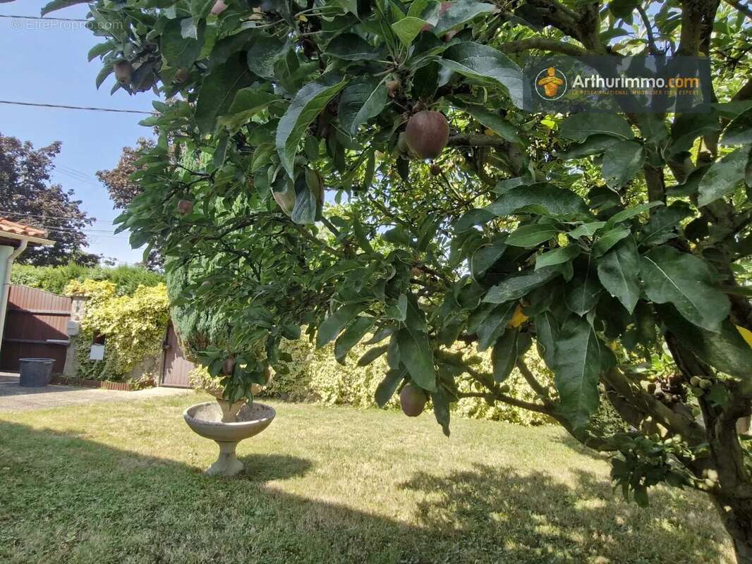 Maison à LAROQUE-D'OLMES