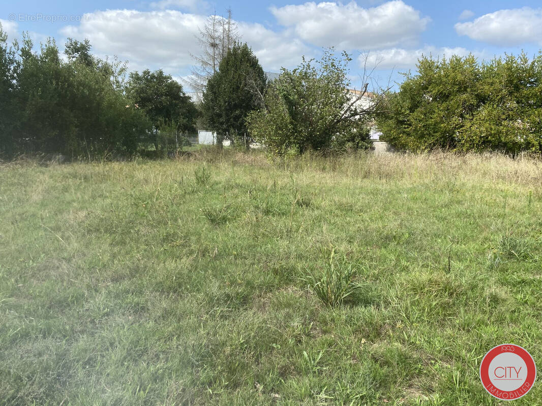Terrain à BASSENS
