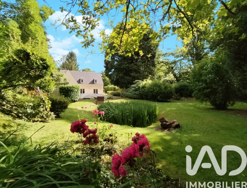 Photo 1 - Maison à CREVECOEUR-LE-GRAND