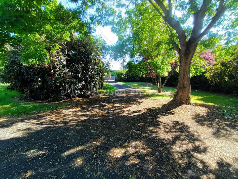 Maison à BELLERIVE-SUR-ALLIER
