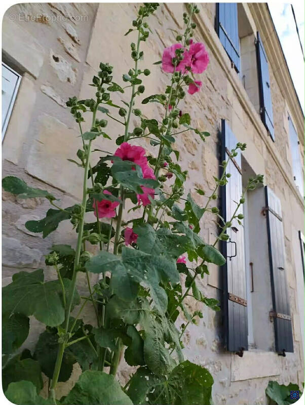 Appartement à PONT-L'ABBE-D'ARNOULT