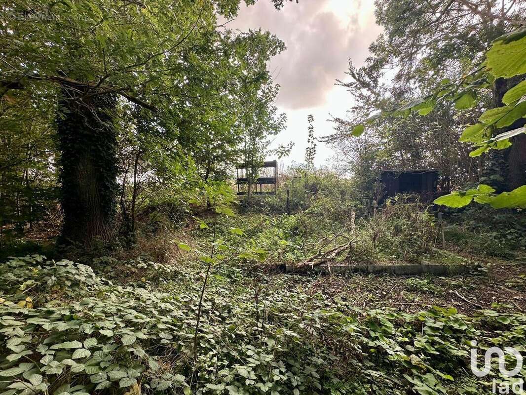 Photo 8 - Terrain à MATHIEU