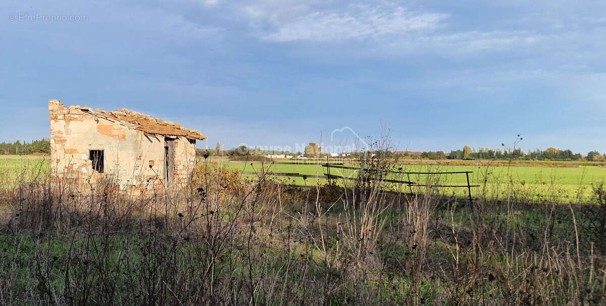 Mazet sur Terrain agricole Marsillargues - photo 2