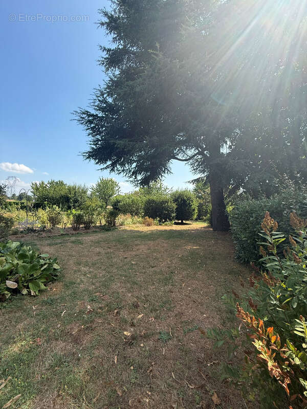 Maison de plain-pied avec 2 644 m2 de terrain st jean sur veyle - photo 4