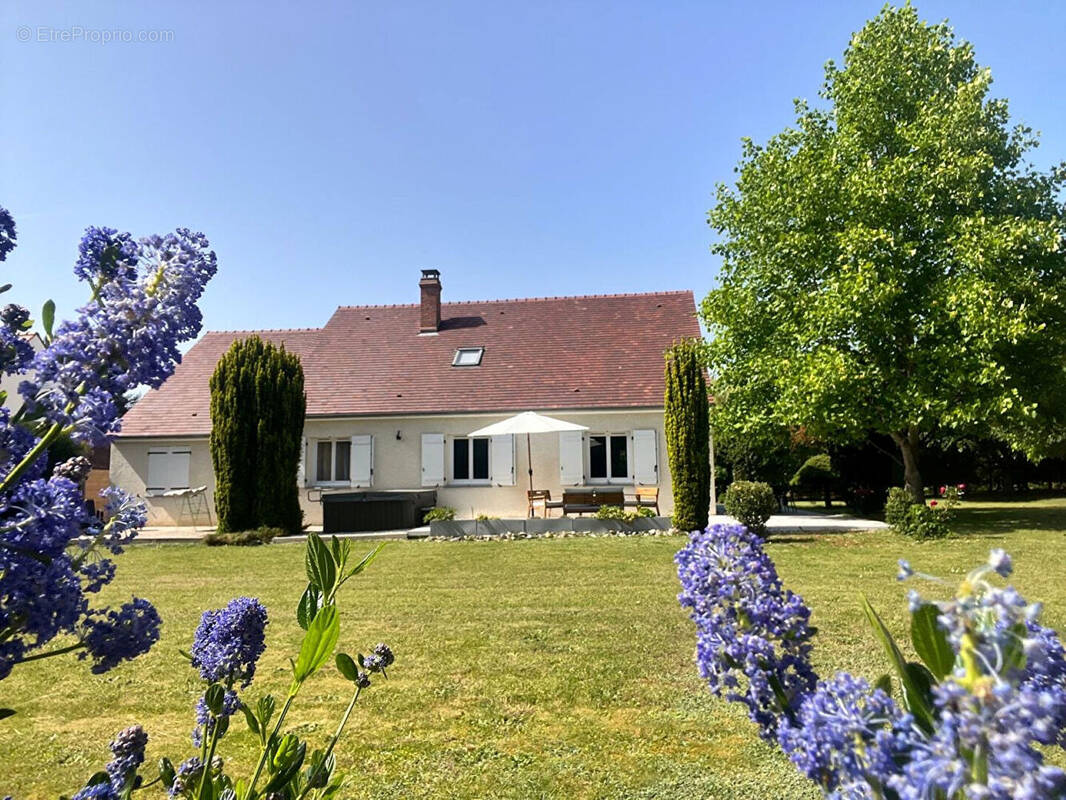 Maison à FONTAINEBLEAU