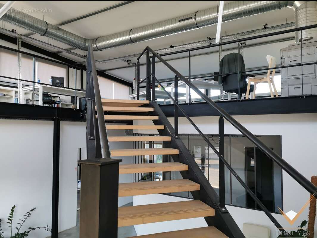 Commerce à COLOMIERS