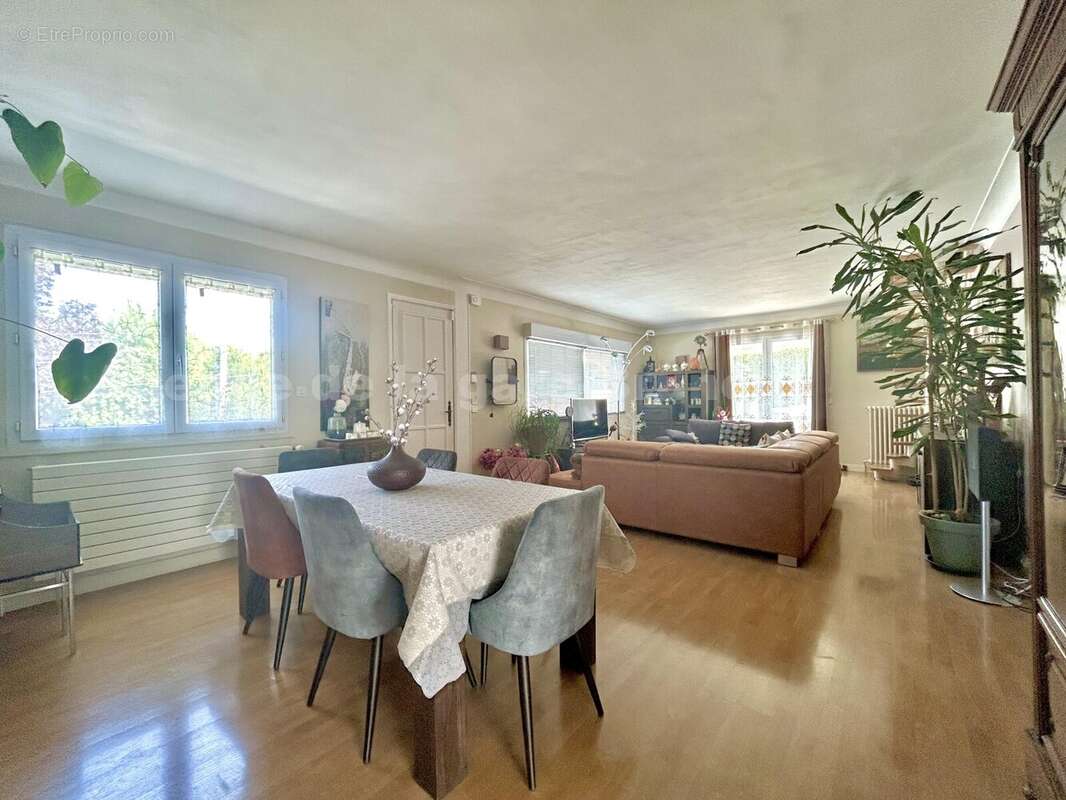 IMG_7219 - Maison à BRUNOY