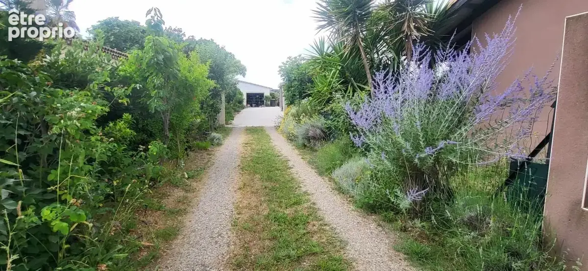 Vente spacieuse maison à Marseillan composée de 3 habitations - photo 42