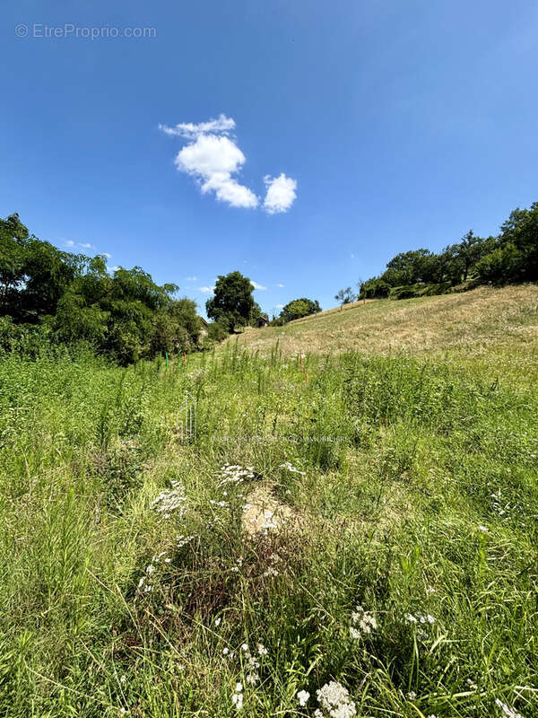 Terrain à SAINT-CLAIR-DU-RHONE