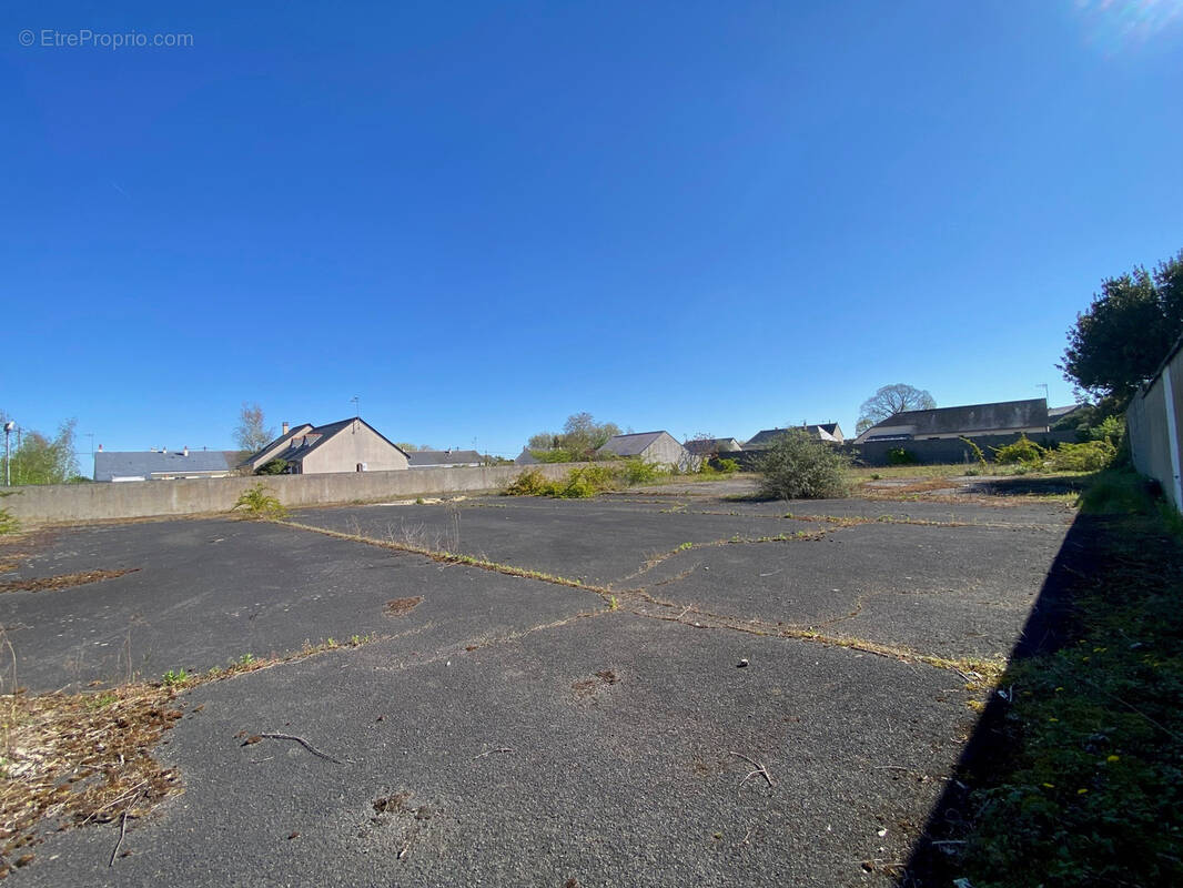 Terrain à LOUERRE
