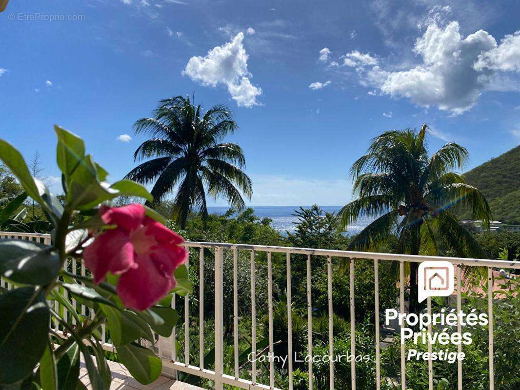 Rare ! Propriété à Deshaies avec grand jardin et vue mer - photo 7
