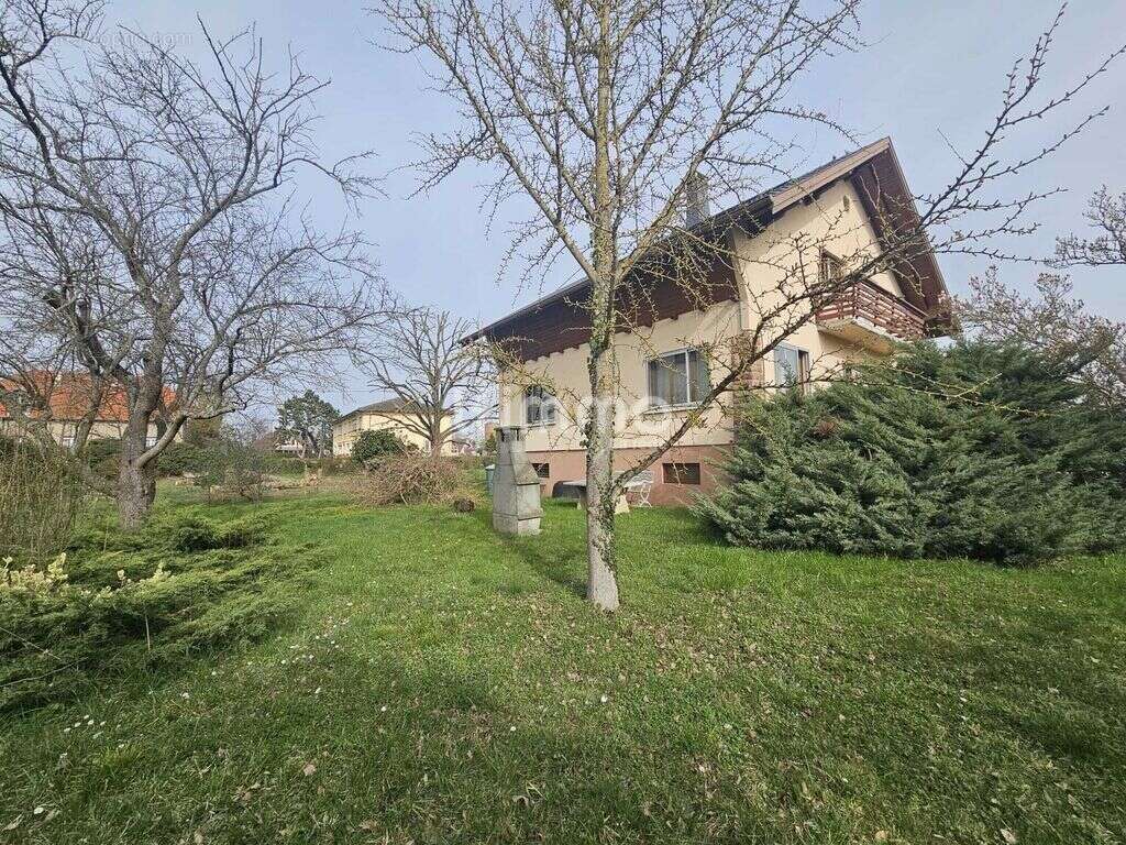 Maison à ENSISHEIM