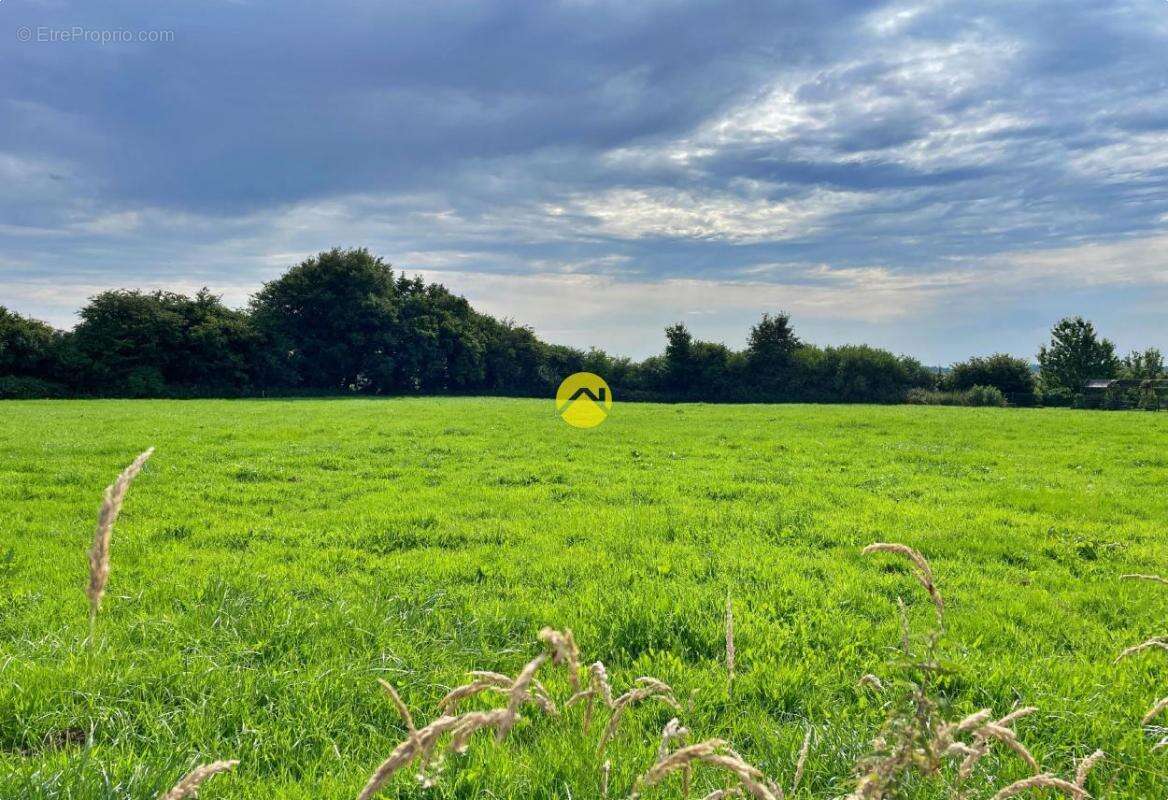 Terrain à FRUGES