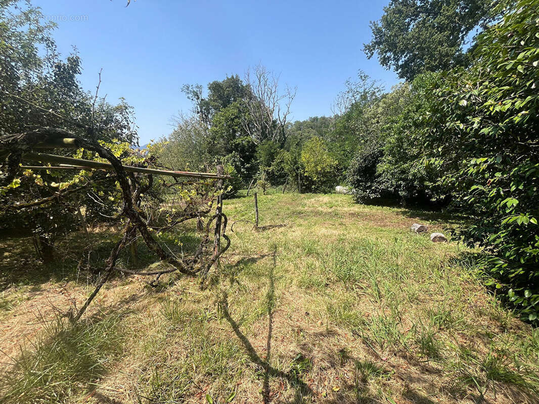 Maison familiale 5 pièces 175 m² TARDETS SORHOLUS - photo 2