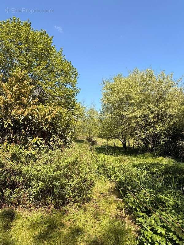 Maison à SAINT-VAURY