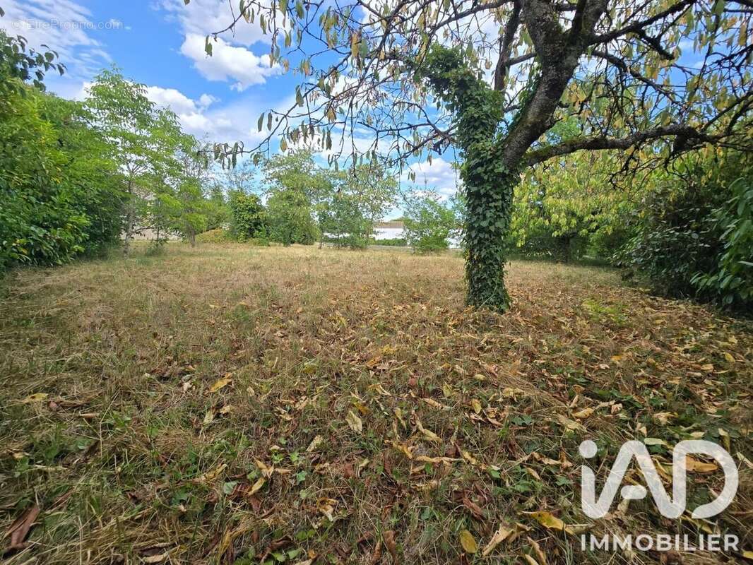Terrain 2057 m² à Chaingy  - photo 3