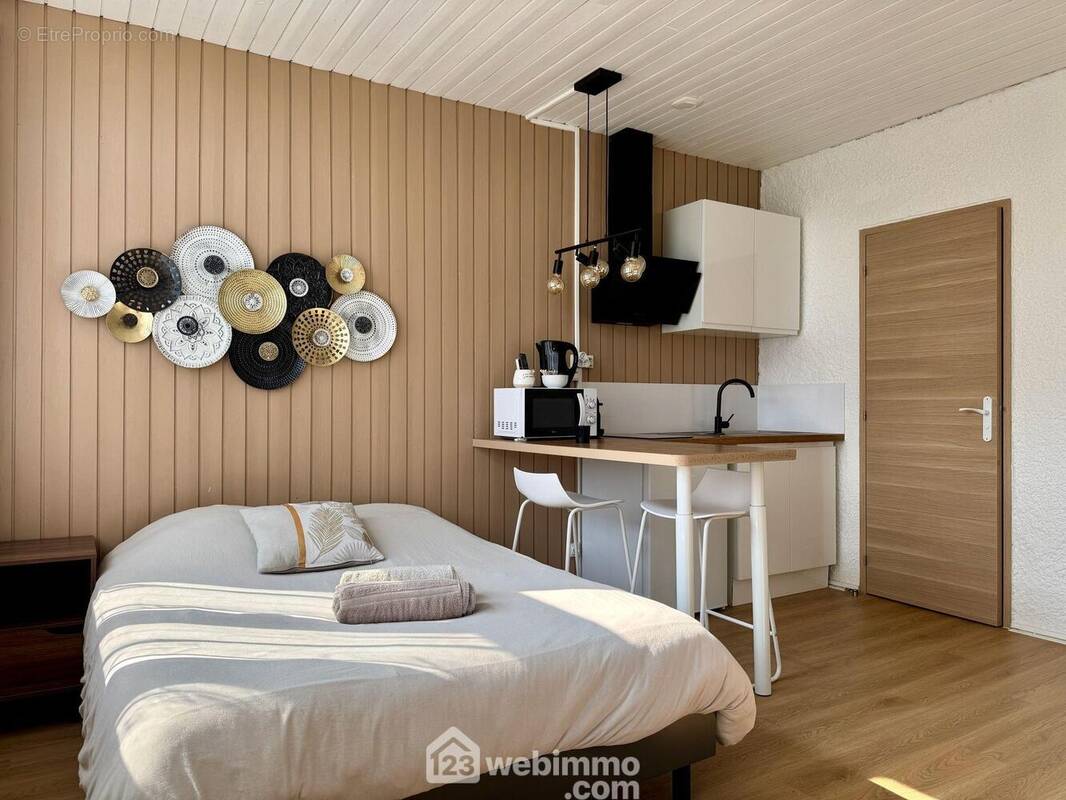 L'entrée ouvre sur la pièce principale, - Appartement à CHASSENEUIL-DU-POITOU