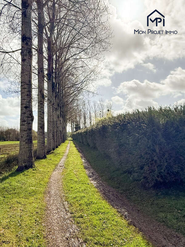 Terrain à LA BACONNIERE