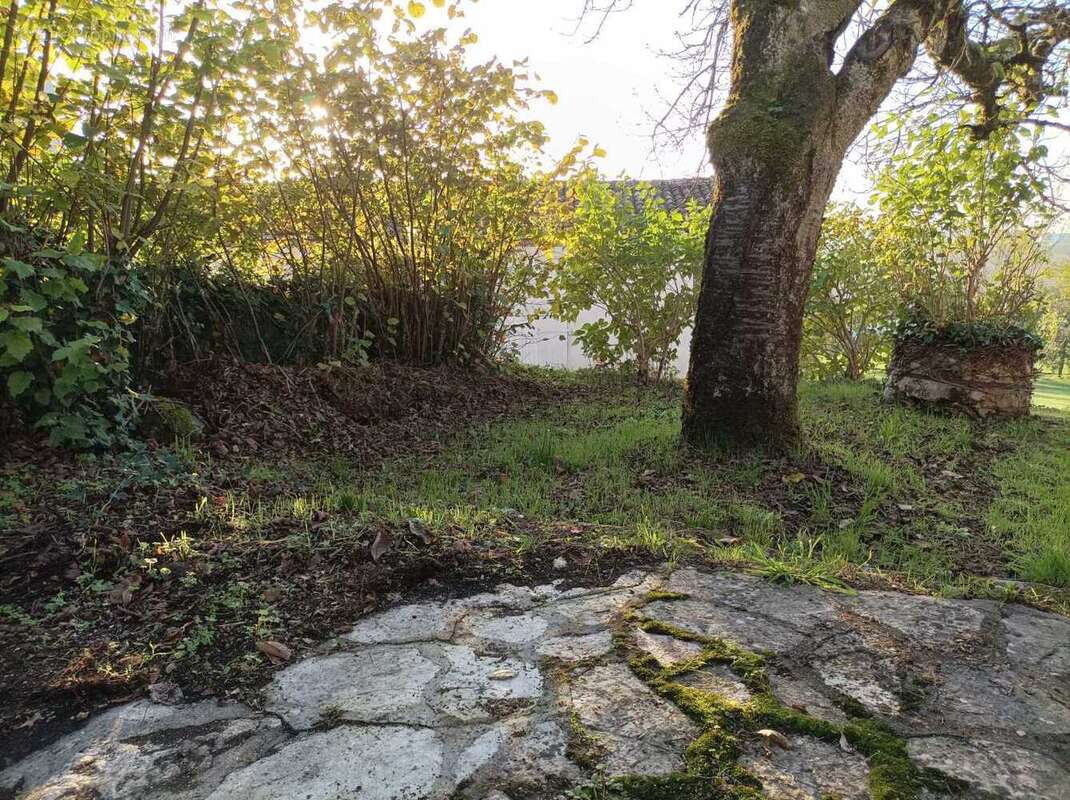 Appartement à VILLEBOIS-LAVALETTE