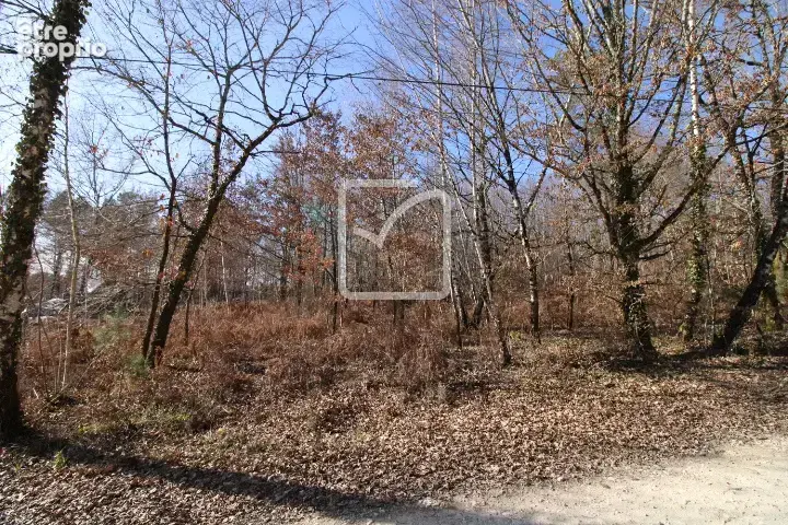 NOUVEAUTE : Terrain 2 000 m2 pour bâtir - photo 2