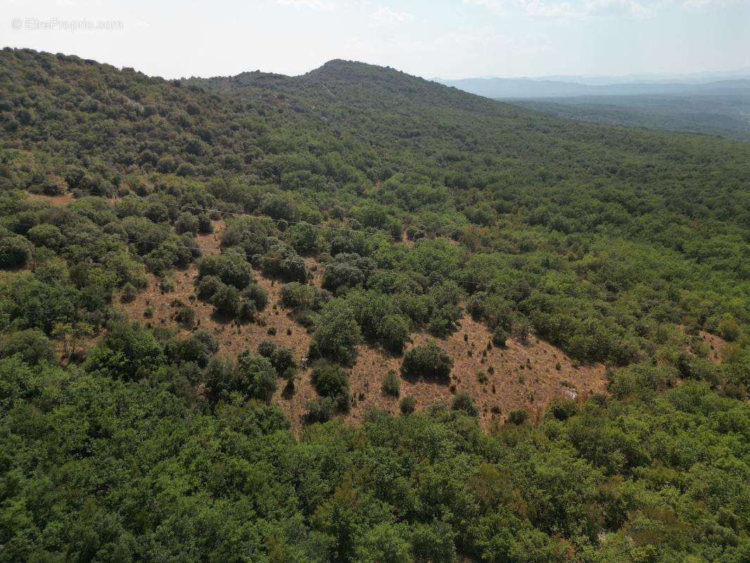 Terrain À Vendre - photo 2