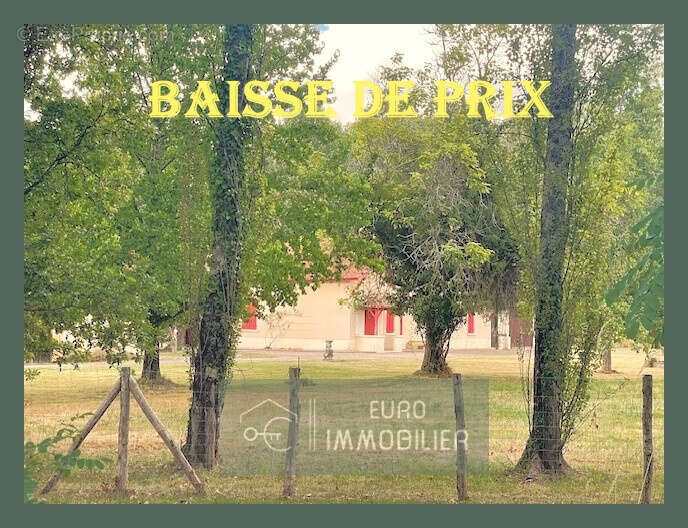 Maison à BAZAS