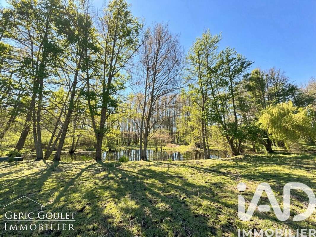 Photo 6 - Maison à ROCHEFORT-EN-YVELINES