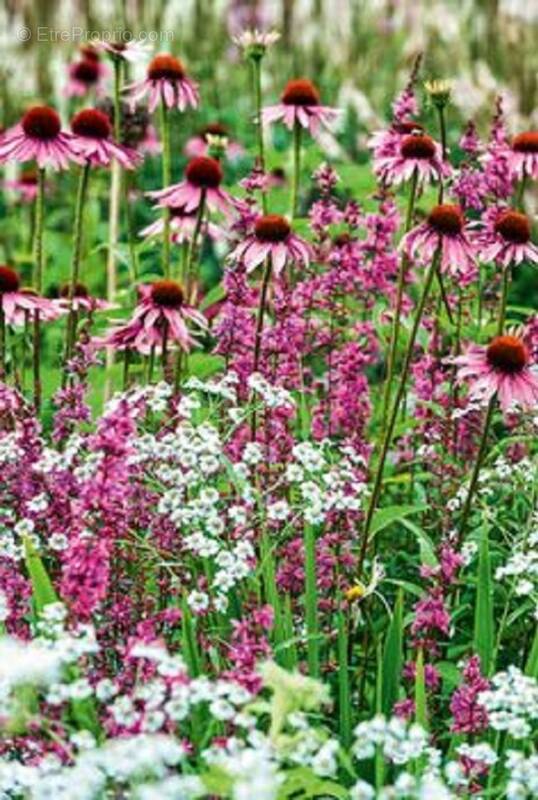 Terrain à MONTLOUIS-SUR-LOIRE