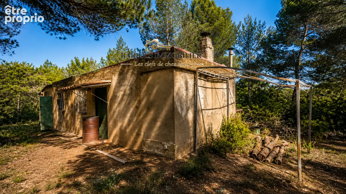 cabanon  1 hectare avec edf - photo 16