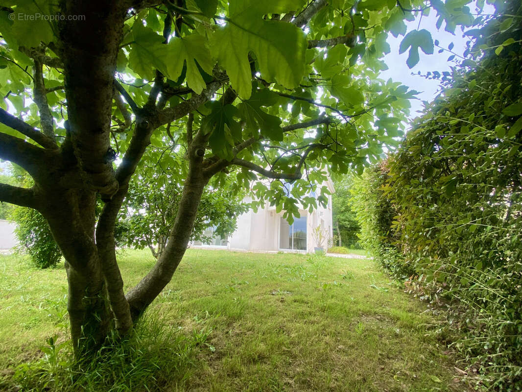 Maison à VAUX-SUR-MER