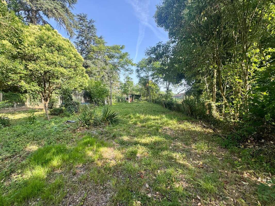 Photo 8 - Maison à SAINT-VITE