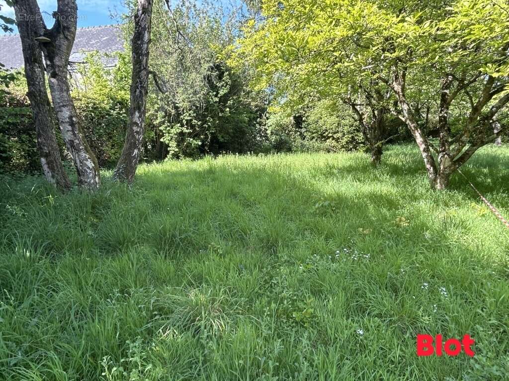 Maison à ERCE-PRES-LIFFRE