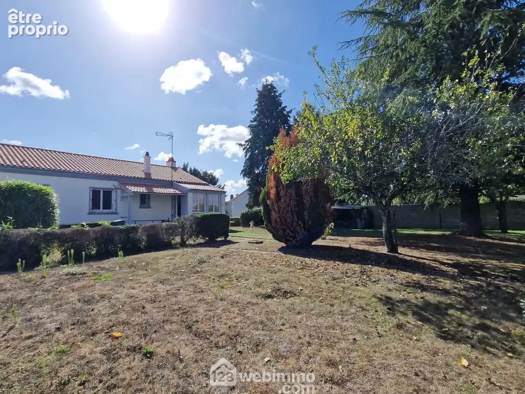 Autre angle de vue