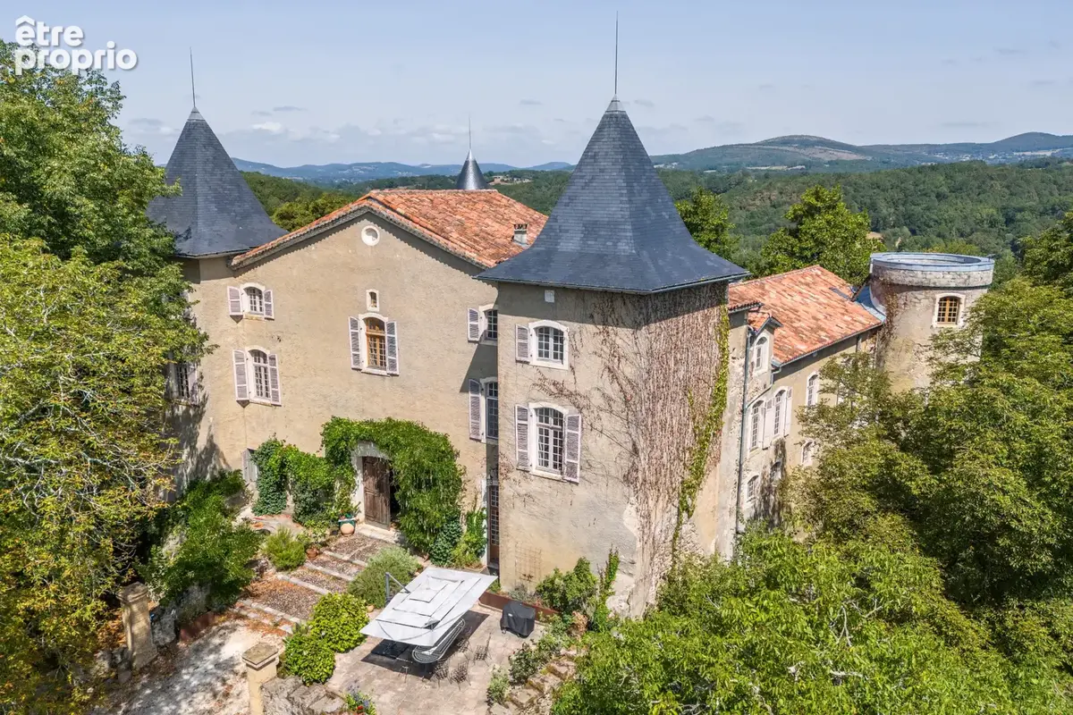 Château - Une situation magnifique et des intérieurs époustouflants - photo 24