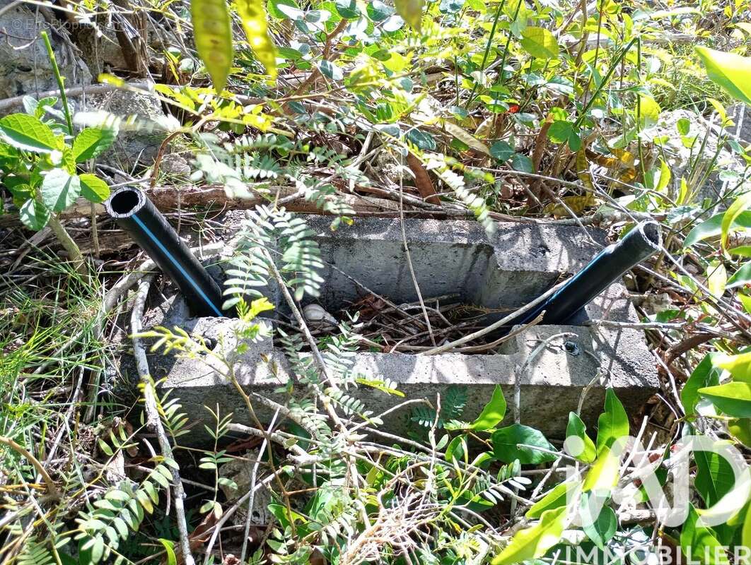 Photo 6 - Terrain à ANSE-BERTRAND