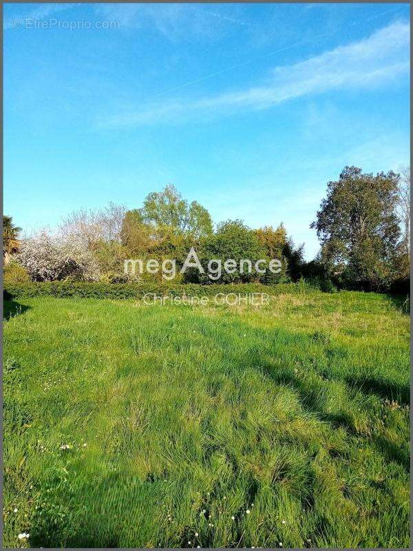 Maison à BRIZAMBOURG