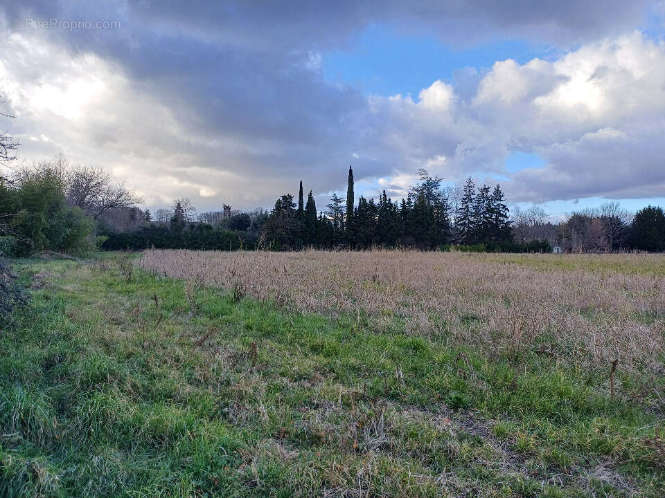 Terrain à LES ISSARDS