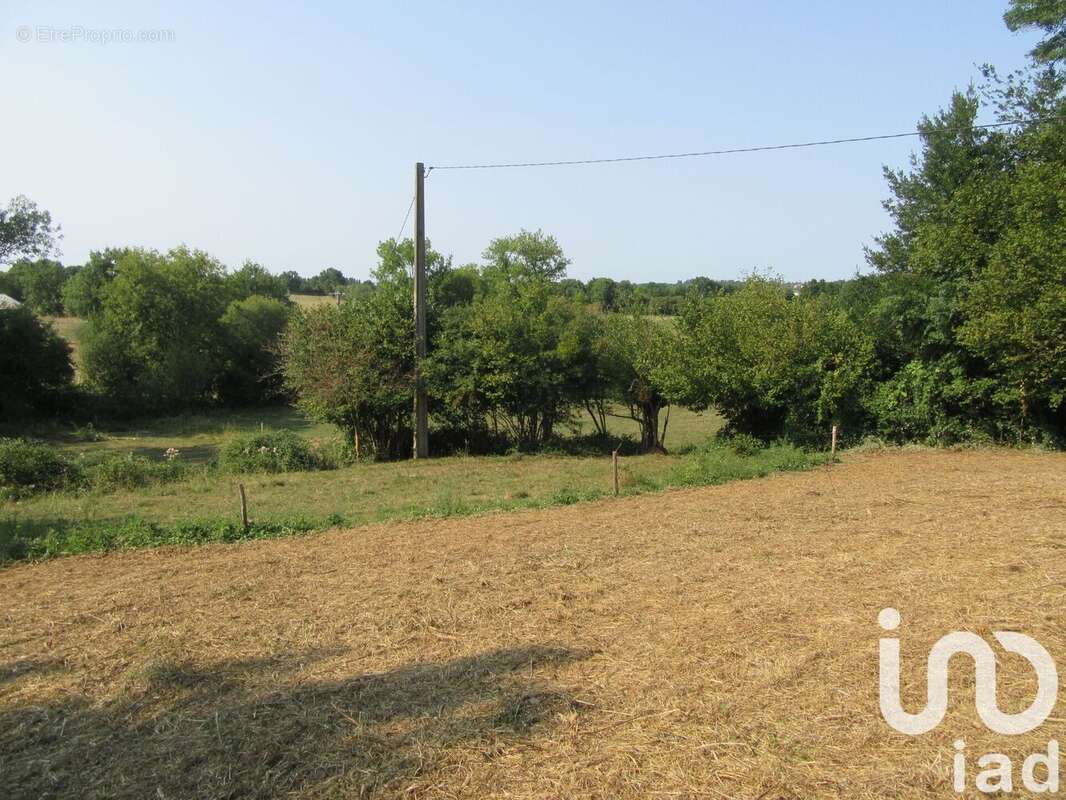 Photo 7 - Maison à MONCOUTANT