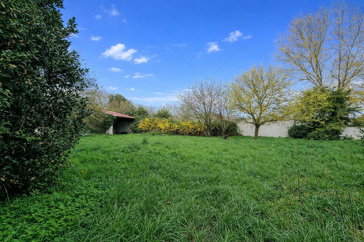 Photo 3 - Maison à SURIN