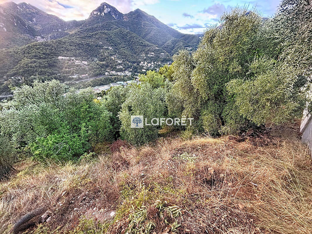 Terrain à CASTELLAR