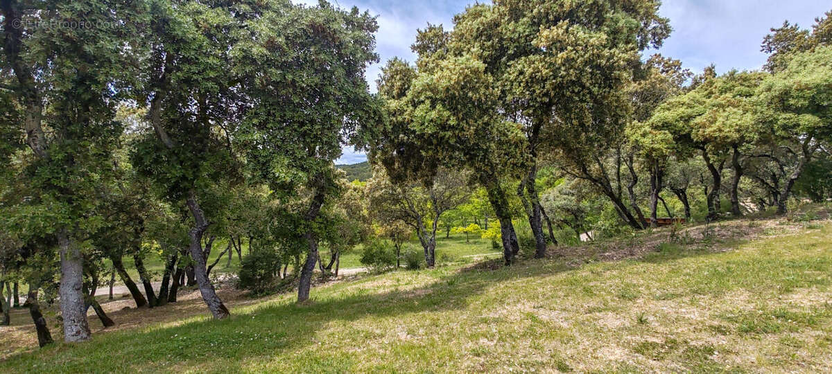 Domaine d'exception - Provence Luberon, 9 pièces 370 m2, 189 ha, vignes, truffière, bois - photo 19
