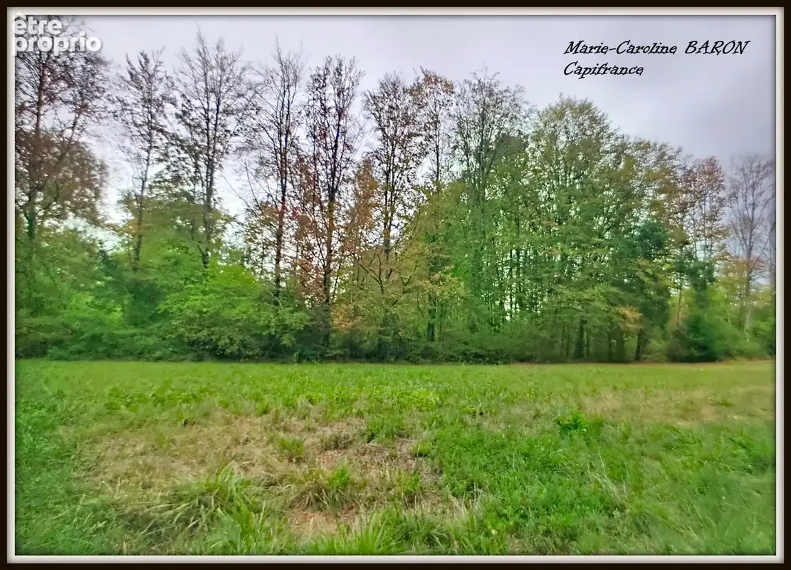 Propriete maison bois prairies buzancais (36) - photo 11