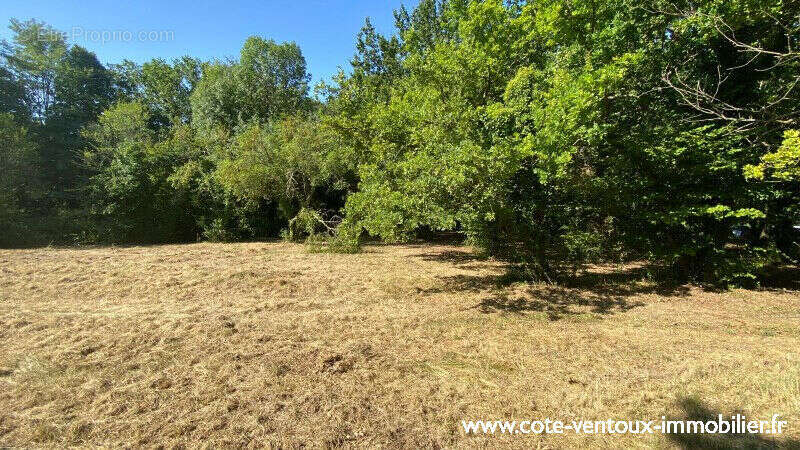 Terrain constructible viabilisé - 1016 m² - photo 2
