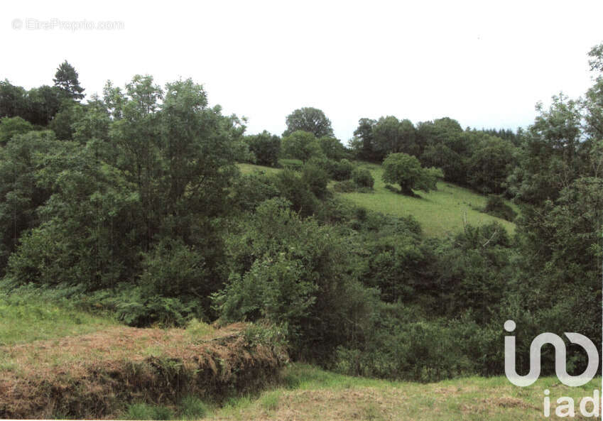 Photo 7 - Terrain à BEAUMONT