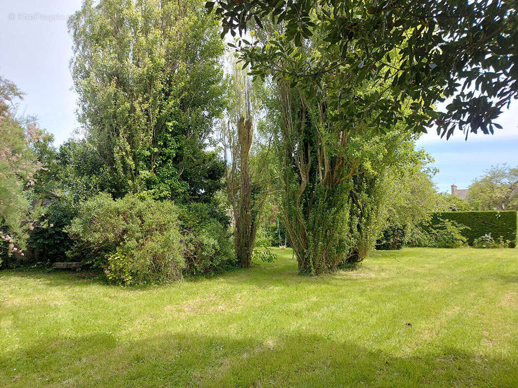 Grande maison familiale à Barfleur avec jardin plein Sud ! - photo 11