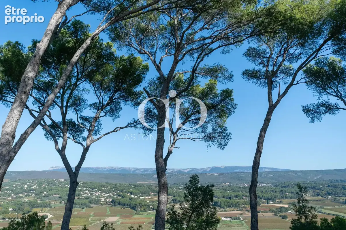 Propriete prestige sur les hauteurs de la cadiere d'azur - photo 3